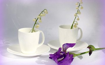 Картинка цветы разные+вместе ирис чашки белое колокольчики фарфор ландыши