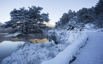 Картинка природа дороги деревья зима река