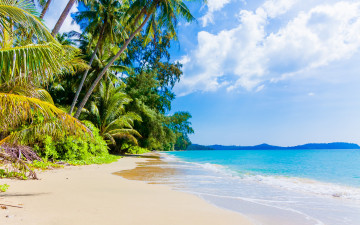 Картинка природа тропики море sand paradise shore волны песок берег пляж sea blue beach summer