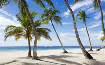 Картинка природа тропики paradise tropical summer beach sea песок берег пляж море palms sand shore