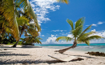 Картинка природа тропики пляж tropical paradise пальмы shore sea beach summer море palms sand песок берег