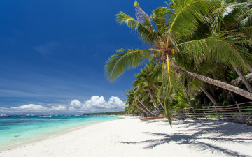 Картинка природа тропики sand берег пляж песок пальмы paradise summer beach sea shore tropical море palms