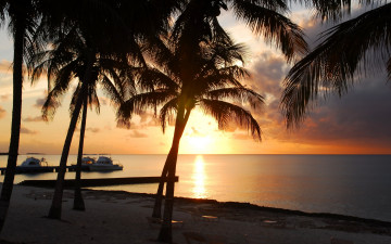 Картинка природа восходы закаты закат море пальмы песок берег пляж sunset sand tropical paradise sea shore beach