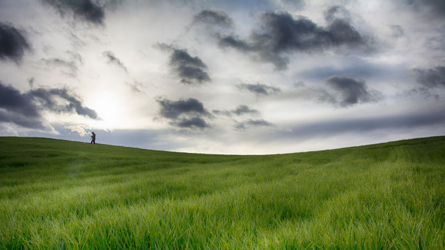 Обои картинки фото природа, луга, человек, силуэт, поле, роса, утро, тучи, небо, трава