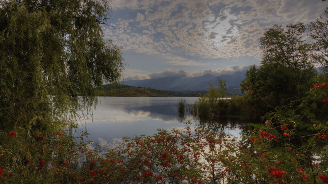 Обои картинки фото природа, реки, озера, облака, кусты, деревья, озеро