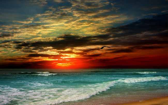 Обои картинки фото природа, восходы, закаты, море, sand, песок, берег, закат, пляж, tropical, paradise, shore, sunset, beach, sea