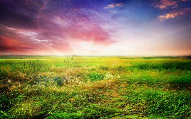 Обои картинки фото природа, восходы, закаты, трава, поле, небо, закат, sky, landscape, sunset, nature
