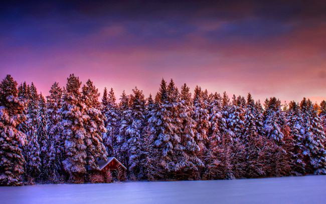 Обои картинки фото природа, зима, избушка, лес, снег, закат, деревья