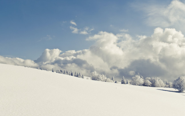 Обои картинки фото природа, зима, снег, небо, деревья, облака