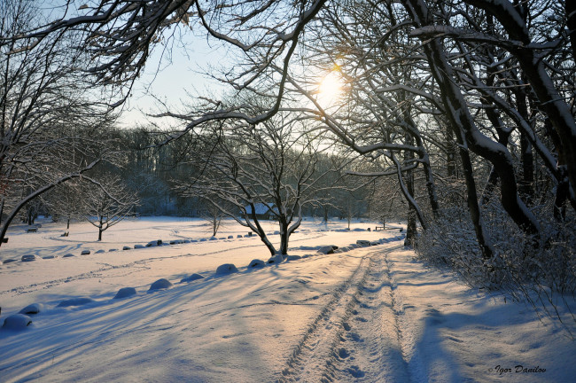 Обои картинки фото природа, зима, дорога, снег, деревья, небо, солнце