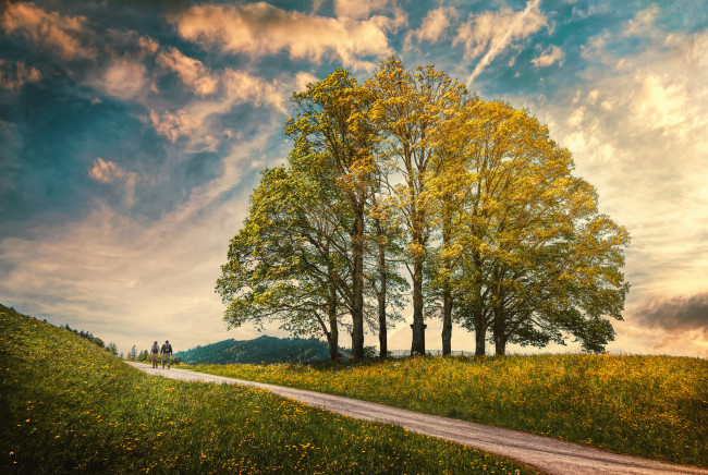 Обои картинки фото природа, дороги, люди, небо, деревья, дорога