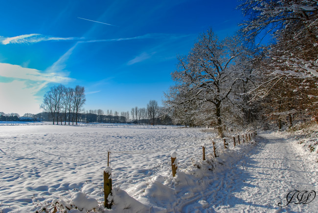 Обои картинки фото природа, зима, небо, деревья, солнечно, снег, дорога