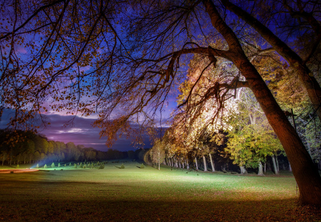 Обои картинки фото природа, деревья, парк, газон, закат, вечер