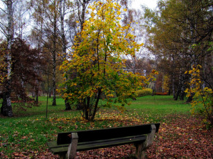 Картинка природа парк листья скамейка осень