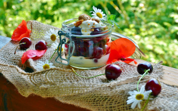 Картинка еда мороженое +десерты мак ромашки вишня йогурт десерт