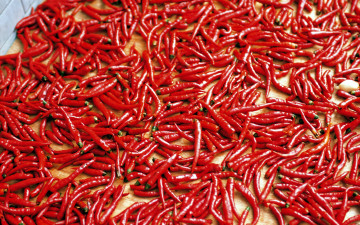 Картинка еда перец стручковый много красный острый