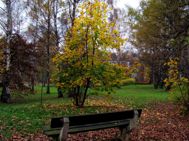 Обои картинки фото природа, парк, листья, скамейка, осень