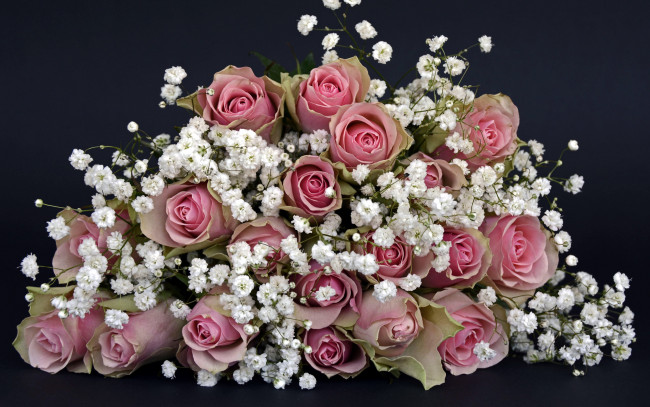 Обои картинки фото цветы, букеты,  композиции, розы, гипсофила, белый, розовый
