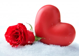 Картинка праздничные день+святого+валентина +сердечки +любовь роза красная сердечко