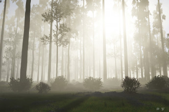 Картинка 3д графика nature landscape природа туман лес