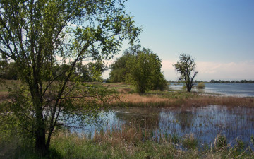 Картинка barr lake scenic природа реки озера трава озеро деревья