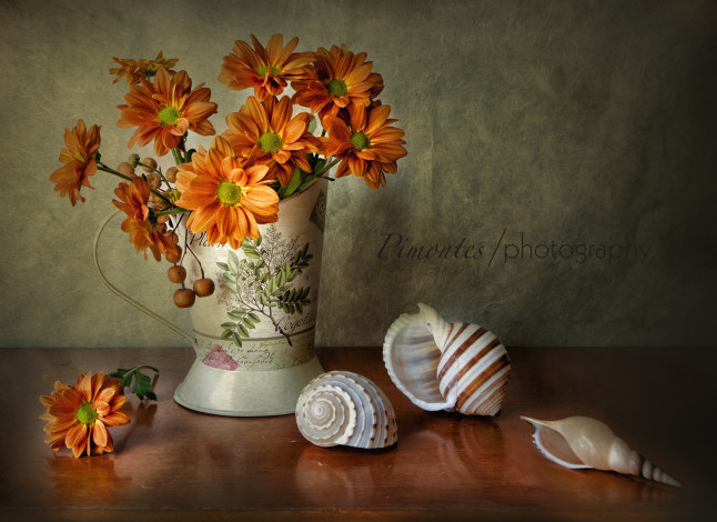 Обои картинки фото цветы, хризантемы, оранжевый, букет, ракушки