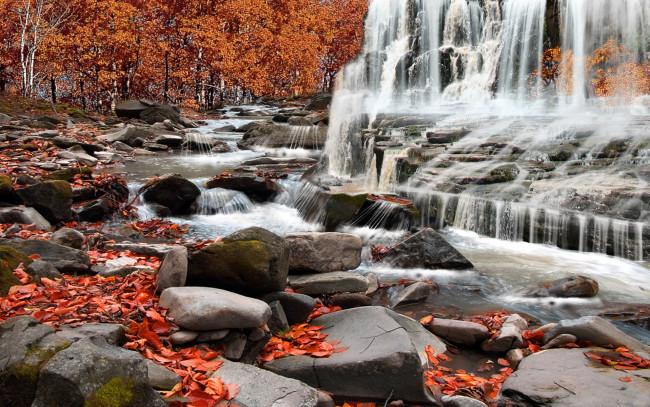 Обои картинки фото autumn, rapids, природа, водопады, осень, деревья, камни, листва, водопад