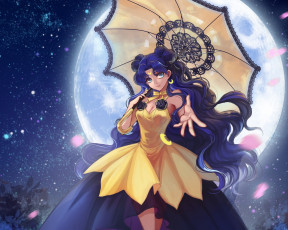 обоя аниме, sailor moon, лепестки, луна, девушка, ночь, зонт, luna, звезды, bishoujo, senshi, sailor, moon, douyougen, арт, небо