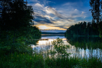 Картинка природа реки озера лес река заводь заросли