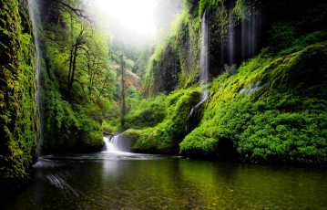 Картинка природа водопады сша деревья вода река штат орегон весна зелень листья
