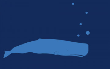 Картинка рисованные минимализм кит