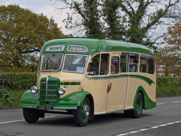 Обои картинки фото 1950 bedford, автомобили, автобусы, автобус, транспорт, общественный