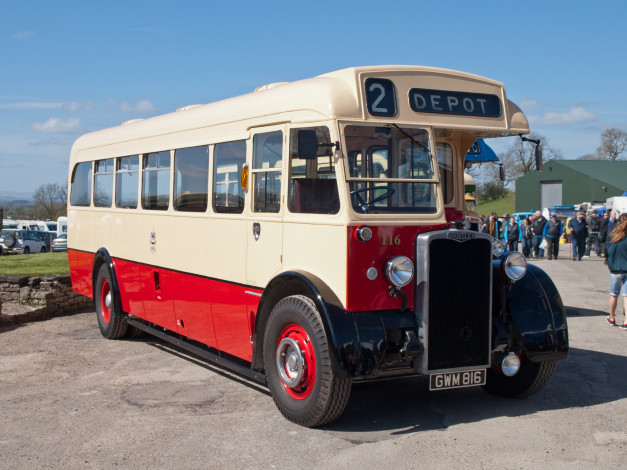 Обои картинки фото 1951 crossley, автомобили, автобусы, общественный, автобус, транспорт