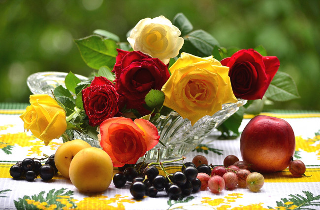 Обои картинки фото еда, фрукты,  ягоды, розы, абрикос, крыжовник, смородина