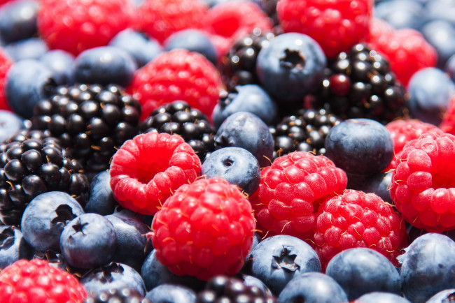 Обои картинки фото еда, фрукты,  ягоды, макро, голубика, малина, ягоды, ежевика