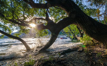 Картинка природа восходы закаты дерево вода новая зеландия катер закат небо горы озеро new zealand