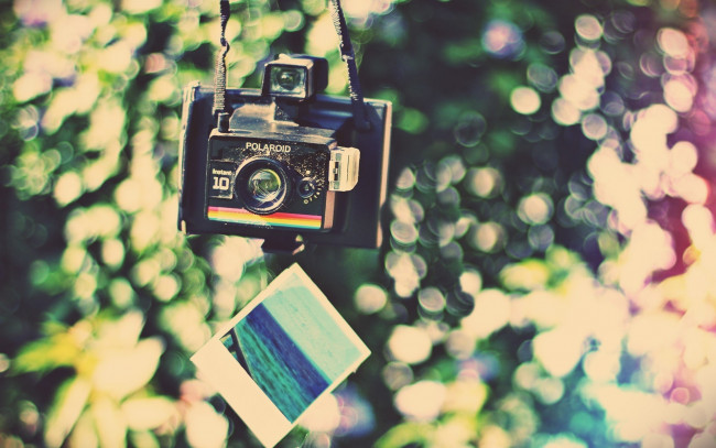 Обои картинки фото бренды, polaroid, снимок, камера, радуга, блики, фотоаппарат, полароид