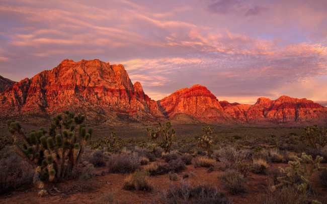 Обои картинки фото природа, горы, пустыня, зарево, скалы, сша, невада, лас-вегас, national, conservation, area, red, rock, canyon