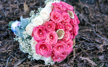 Картинка цветы букеты +композиции гипсофила розы розовый белый