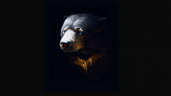 Обои картинки фото рисованное, животные,  медведи, черный, фон