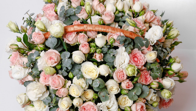 Обои картинки фото цветы, розы, корзинка, бутоны, много