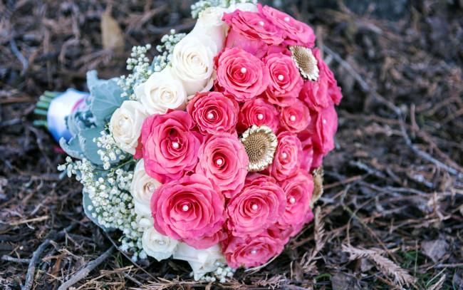 Обои картинки фото цветы, букеты,  композиции, гипсофила, розы, розовый, белый