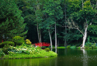 обоя природа, парк, водоем, мостик