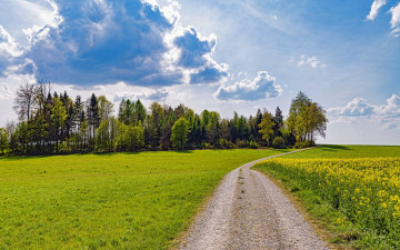 Картинка природа дороги лето проселочная дорога поле луг