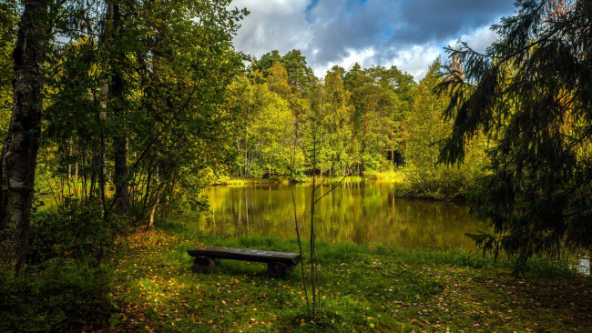 Обои картинки фото природа, реки, озера, пруд, деревья, скамейка