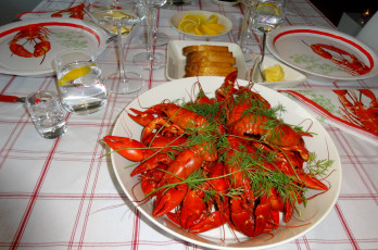 Картинка еда рыбные+блюда +с+морепродуктами раки укроп