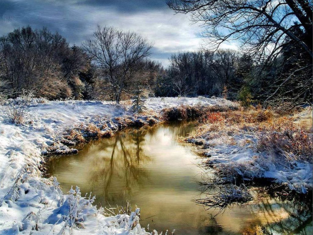 Обои картинки фото 