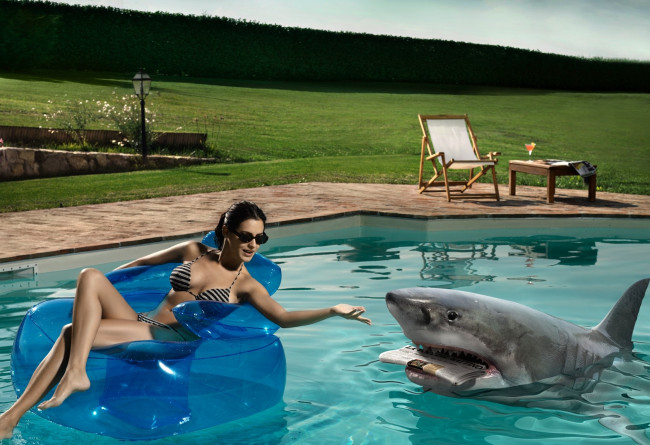 Обои картинки фото юмор, приколы, акула, девушка, газета, бассейн