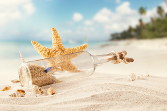Картинка разное ракушки +кораллы +декоративные+и+spa-камни тропики море пляж песок морская звезда tropics sea beach sand shells starfish