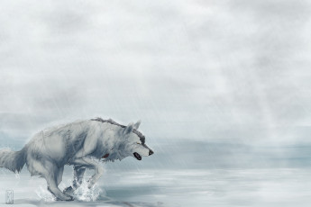 Картинка рисованные животные +волки дождь усталость бежит волк